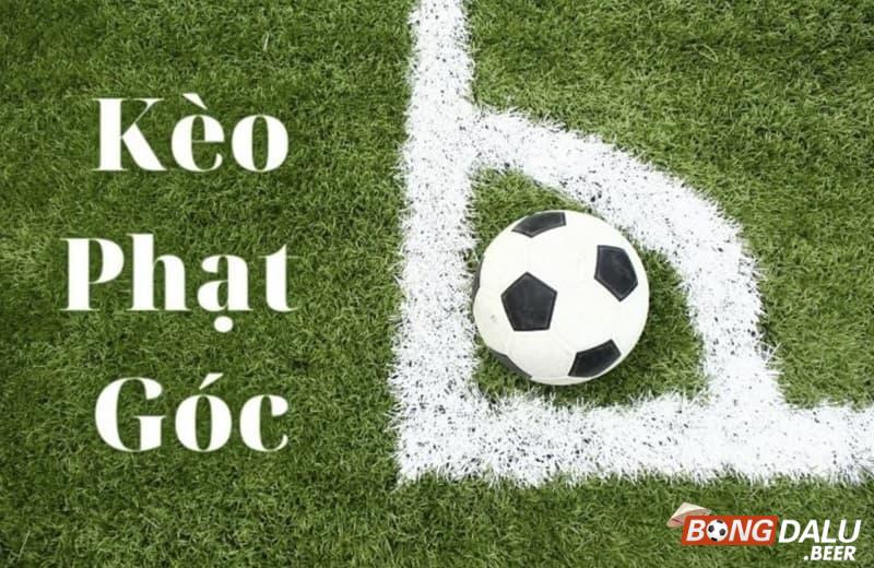 Kèo phạt góc loại kèo phổ biến trong bóng đá 