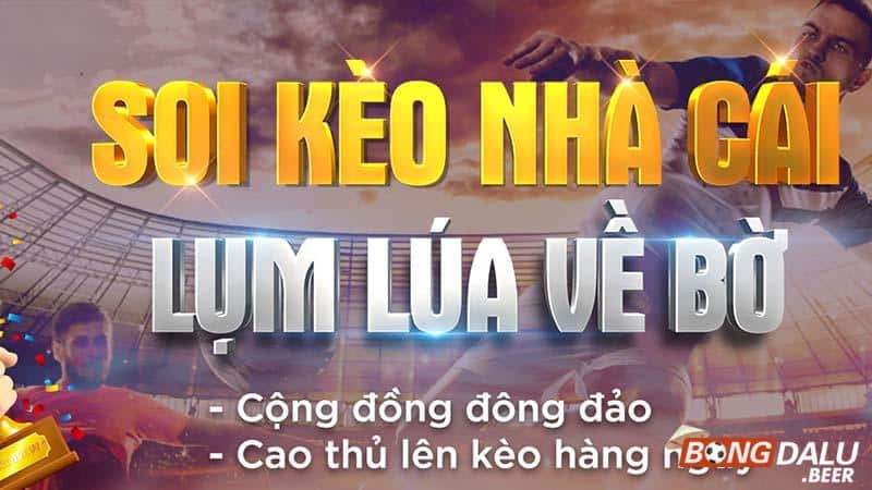 Những câu hỏi thường gặp về diễn đàn cá độ bóng đá