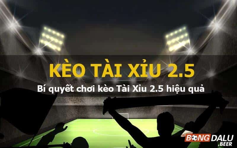 kèo tài xỉu 2.5 là gì