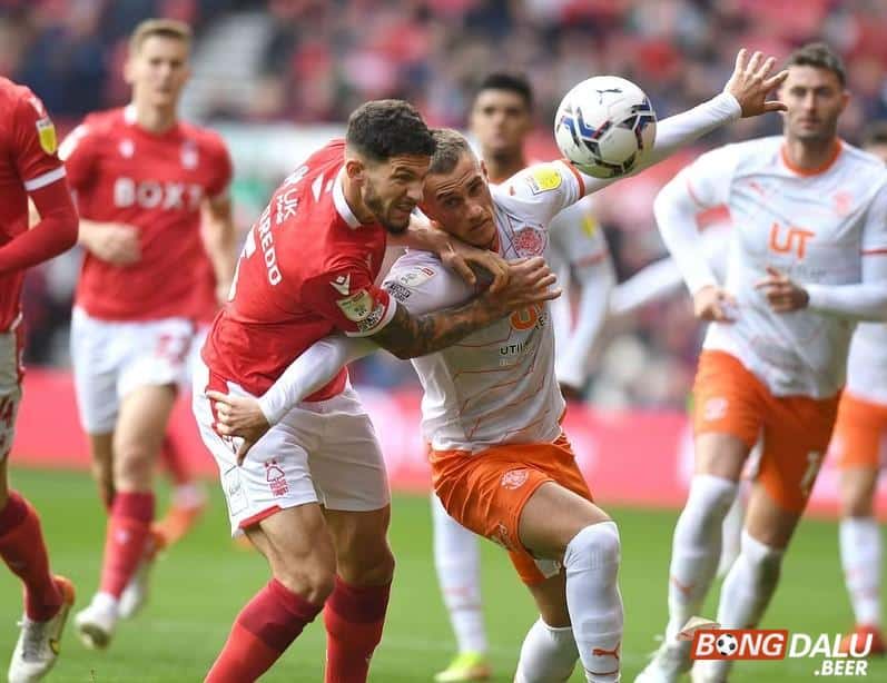 Nhận định soi kèo Blackpool vs Nottingham, 02h45 ngày 18/01/2024