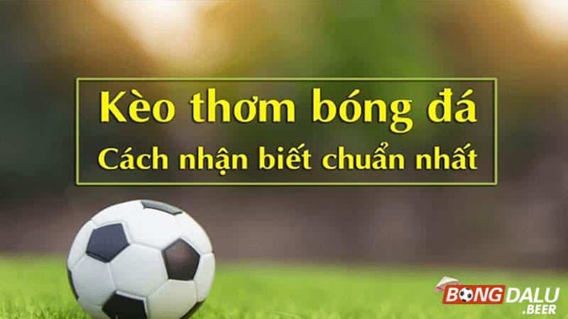 Chọn thời điểm cược – mẹo soi kèo bóng đá nên nhớ