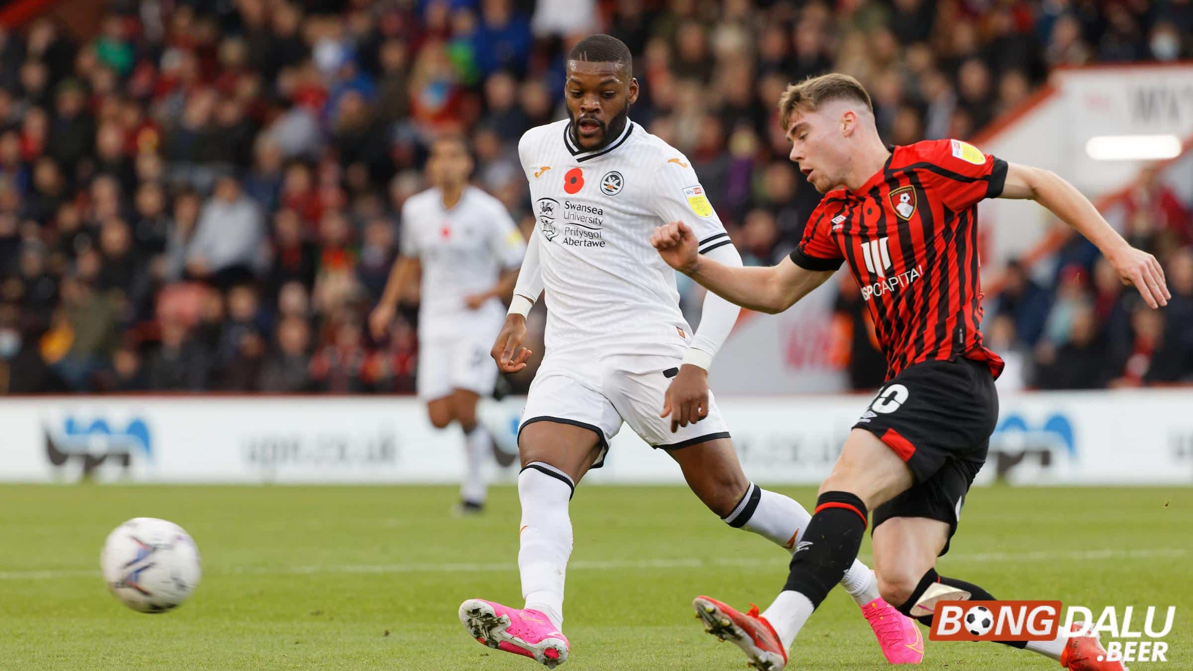 Nhận định soi kèo Bournemouth vs Swansea, 02h45 ngày 26/01/2024 - FA Cup