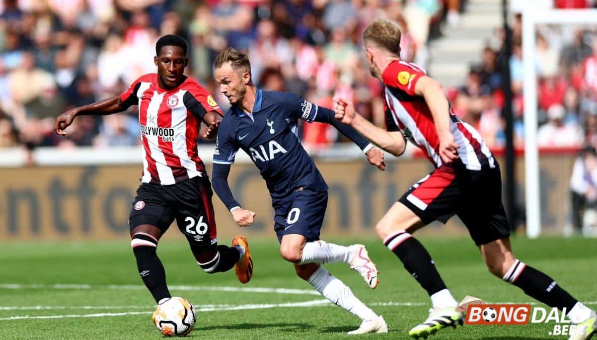 Nhận định soi kèo Tottenham vs Brentford, 02h30 ngày 1/2/2024 - Ngoại Hạng Anh