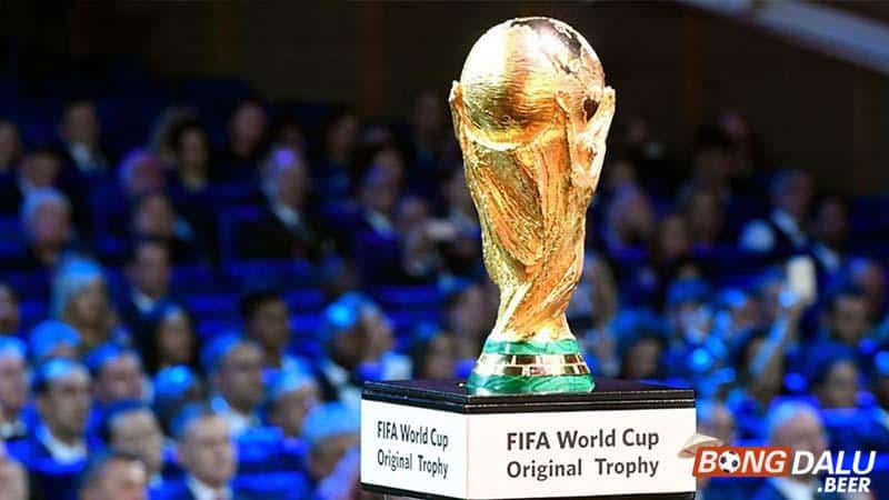 Những điều thú vị của giải World Cup là gì