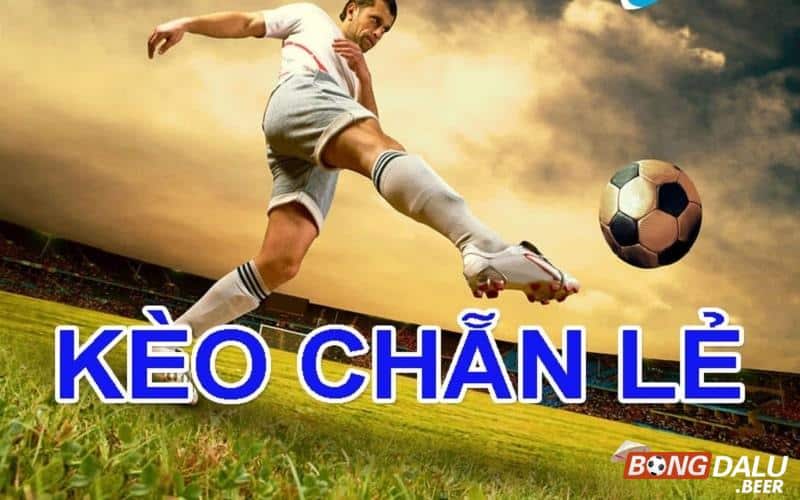 Hướng dẫn người chơi cách bắt kèo chẵn lẻ chi tiết