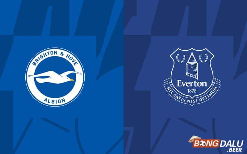 Nhận định soi kèo Brighton vs Everton, 22h00 ngày 24/02 - Ngoại Hạng Anh