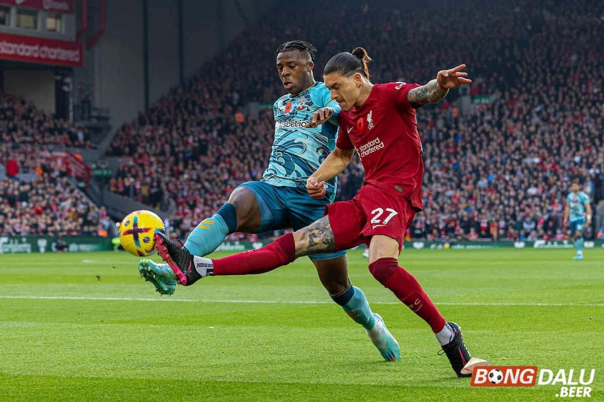 Nhận định soi kèo Liverpool vs Southampton, 03h00 ngày 29/02 - FA Cup