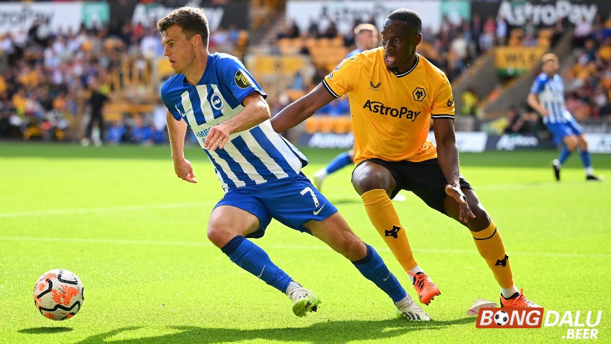 Nhận định soi kèo Wolves vs Brighton, 02h45 ngày 29/02 - FA Cup