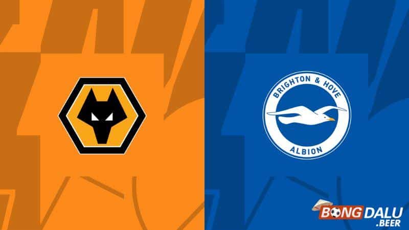 Nhận định soi kèo Wolves vs Brighton, 02h45 ngày 29/02 - FA Cup